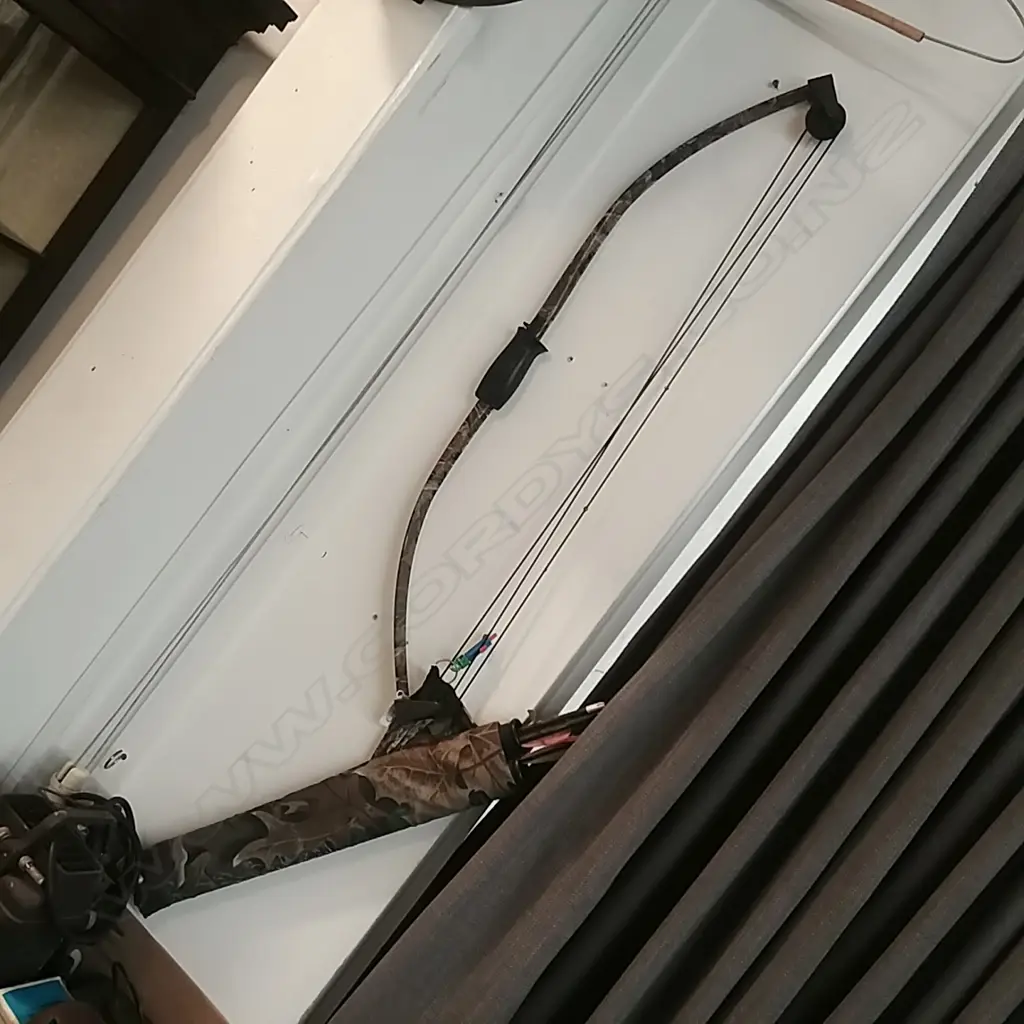 COMPOUND BOW W/ QUIVER & ARROWS Image 1++