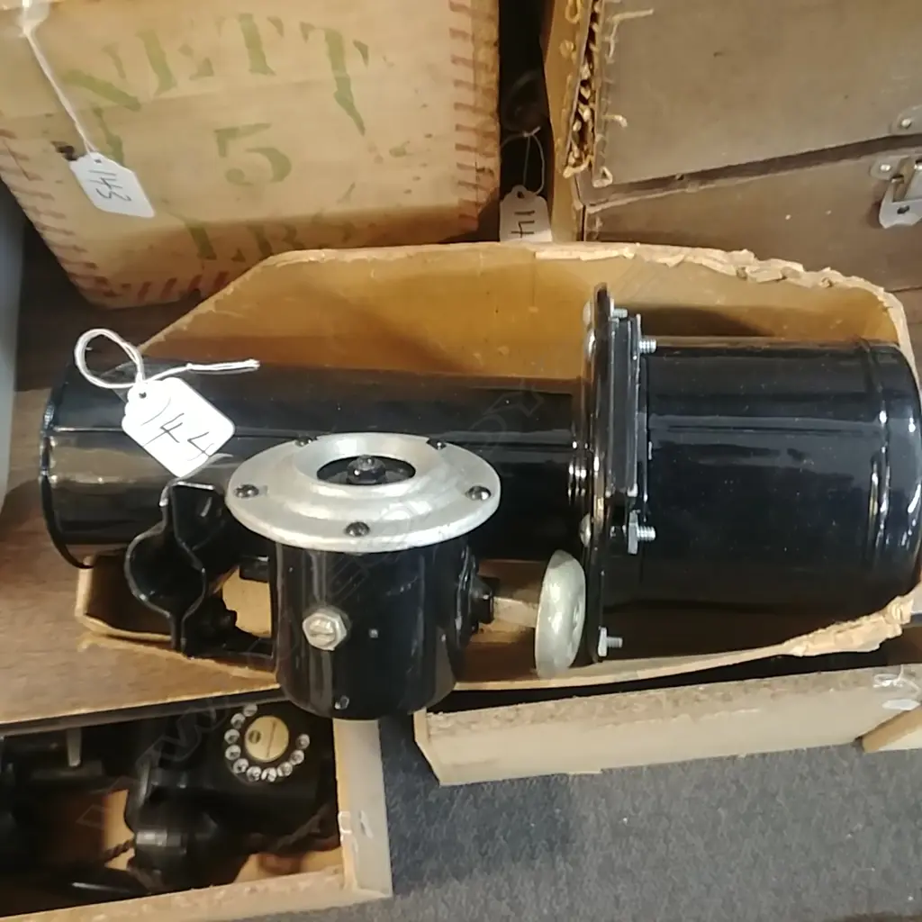 UGA HORN Image 1++