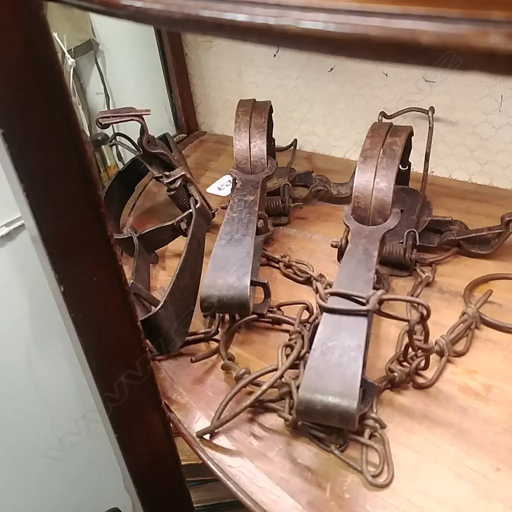 3 AMERICAN MADE VICTOR VORMIT TRAPS Image 1++