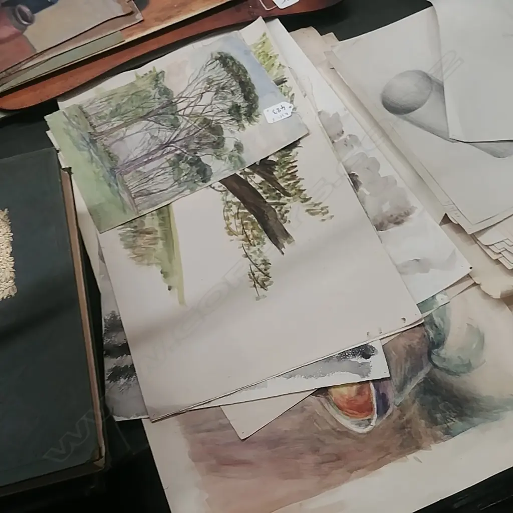 ELLEN KNIGHT (nee McGowan) [ELAM SCHOOL] 11 UNFRAMED WATERCOLOURS Image 1++