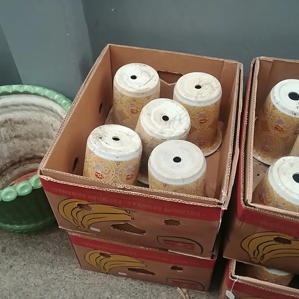 2 BOXES OF SMALL YELLOW PLANT POTS  Image 1++