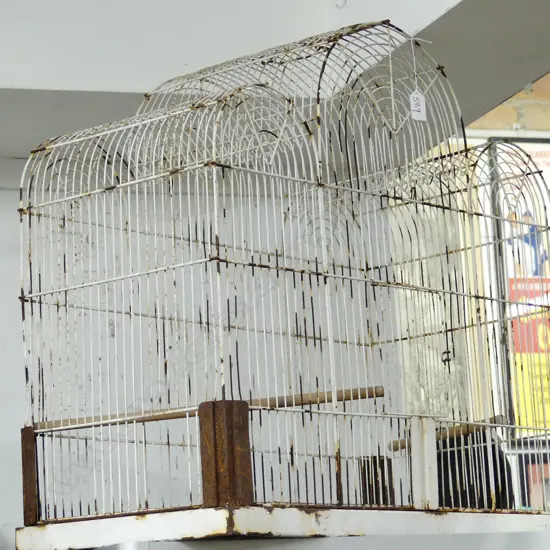 EDWARDIAN BIRD CAGE