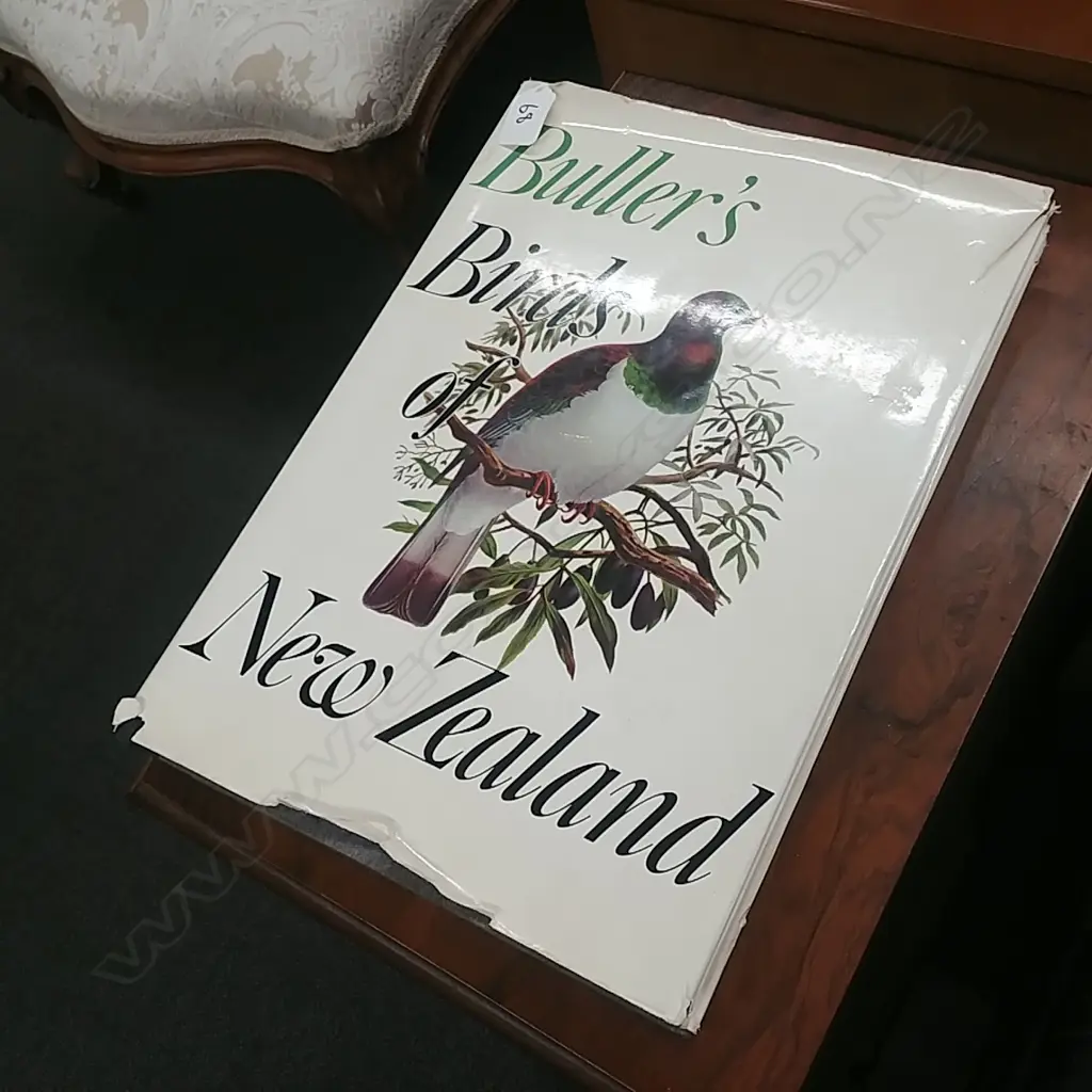 BULLER'S  BIRD OF NZ BOOK Image 1++