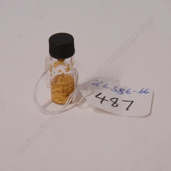 ALLUVIAL GOLD FINDINGS