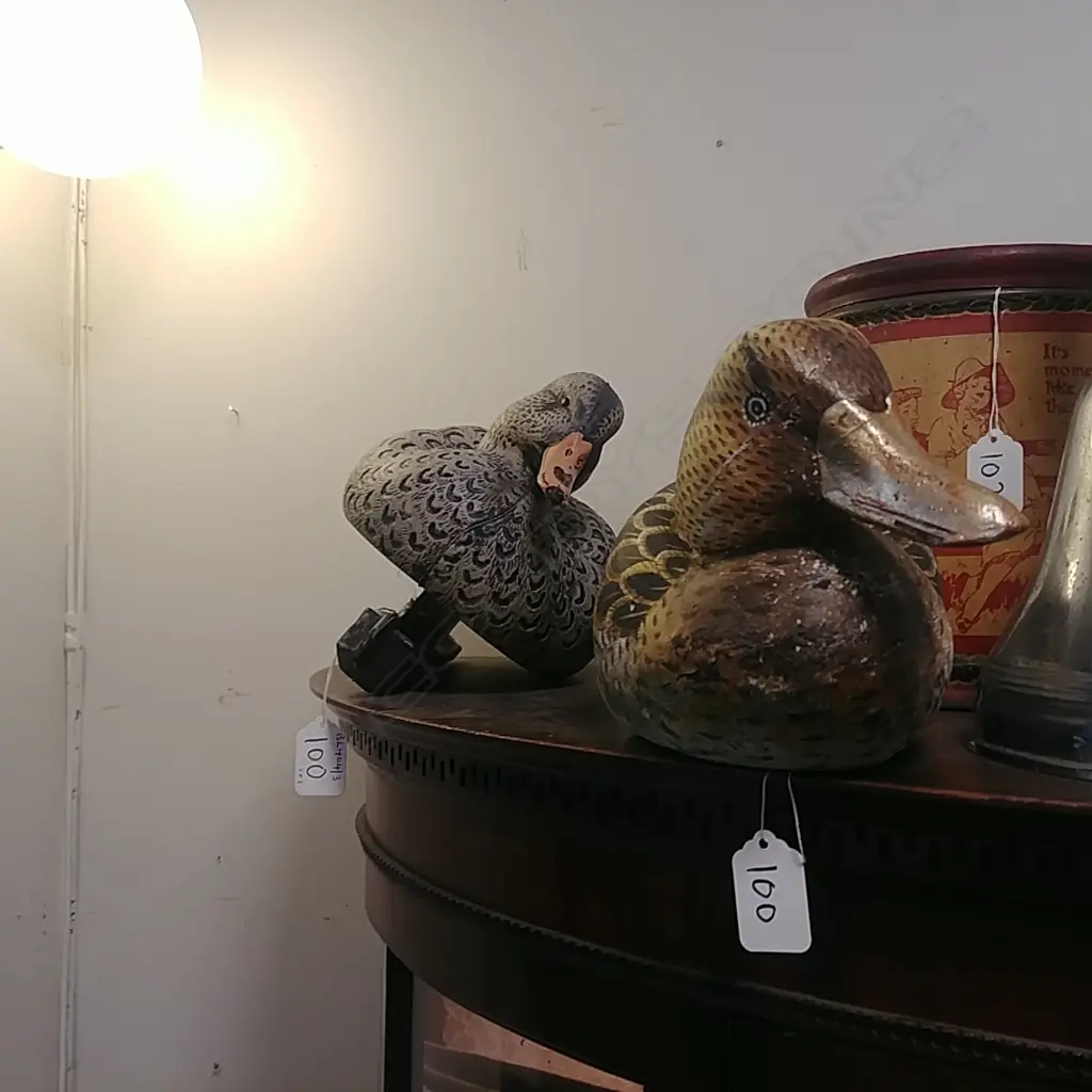 DUCK DECOY & ANOTHER Image 1++