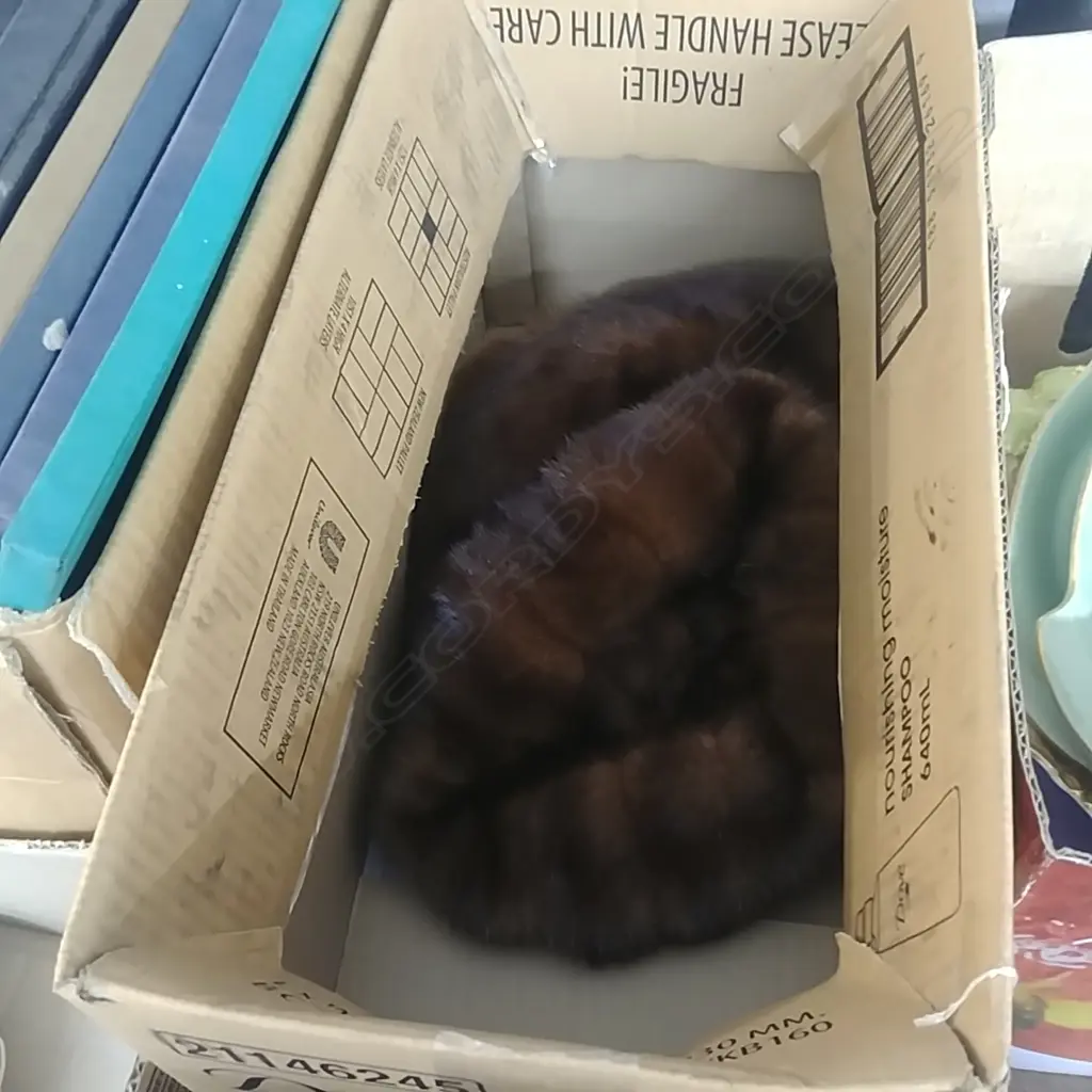 BOX OF FUR HATS  Image 1++
