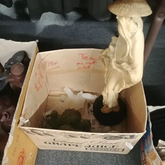 BOX OF SOAPSTONE FIGS + RESIN FIG