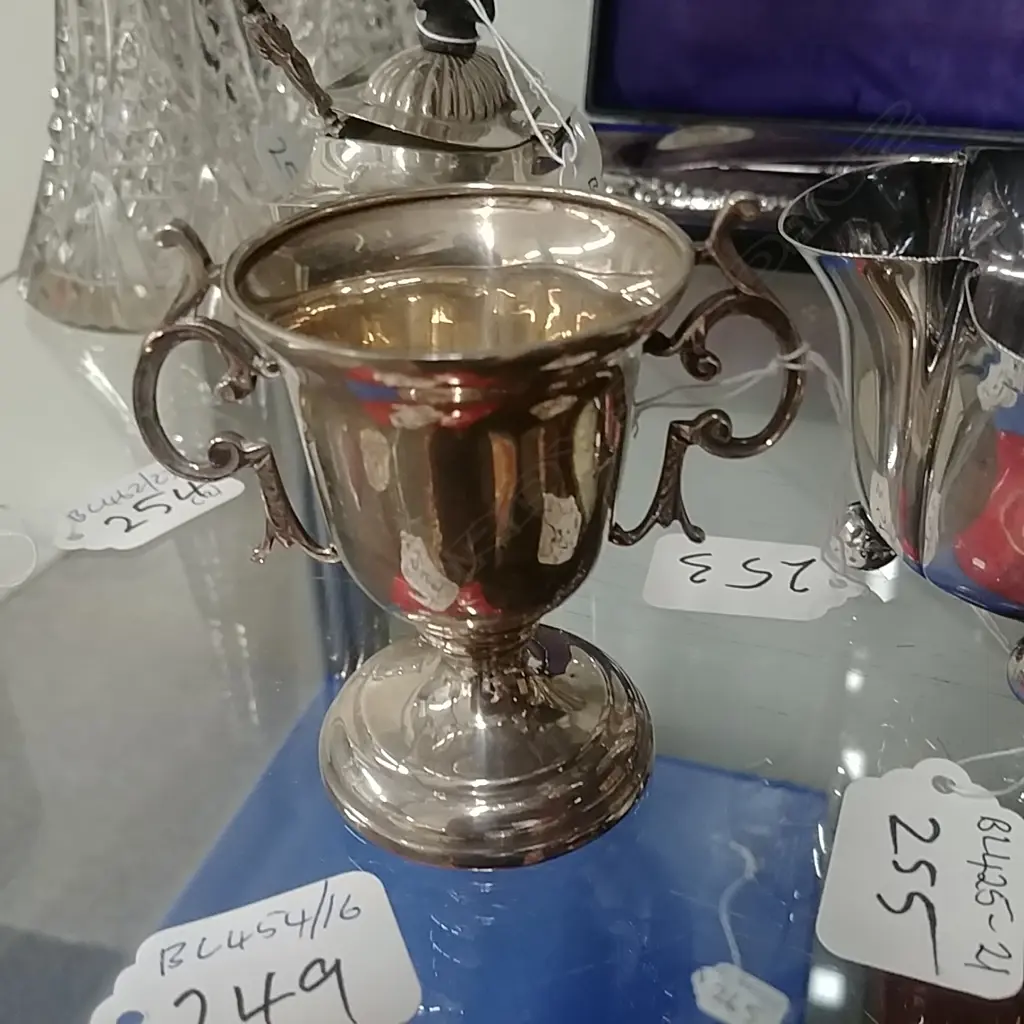 STG SILVER CUP Image 1++