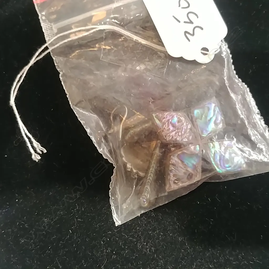 PAUA EARRINGS Image 1++