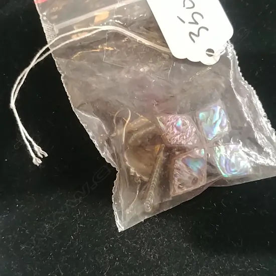 PAUA EARRINGS
