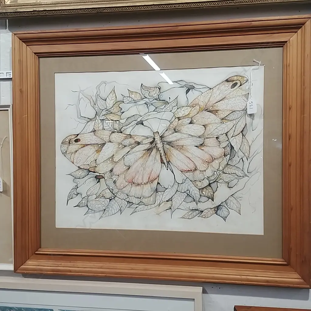 FRAMED W/COLOUR OF A BUTTERFLY Image 1++