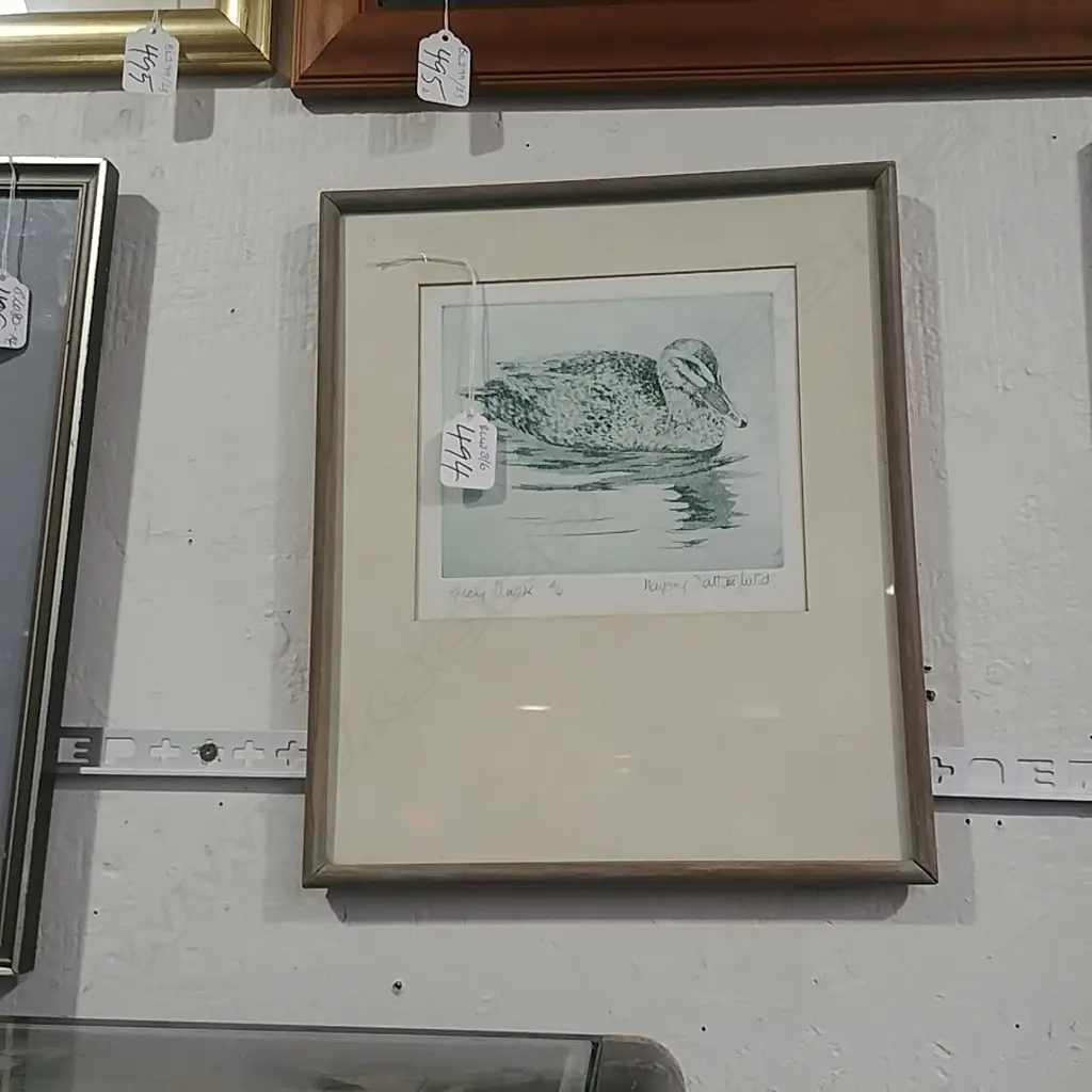 FRAMED ETCHING OF A GREY DUCK Image 1++