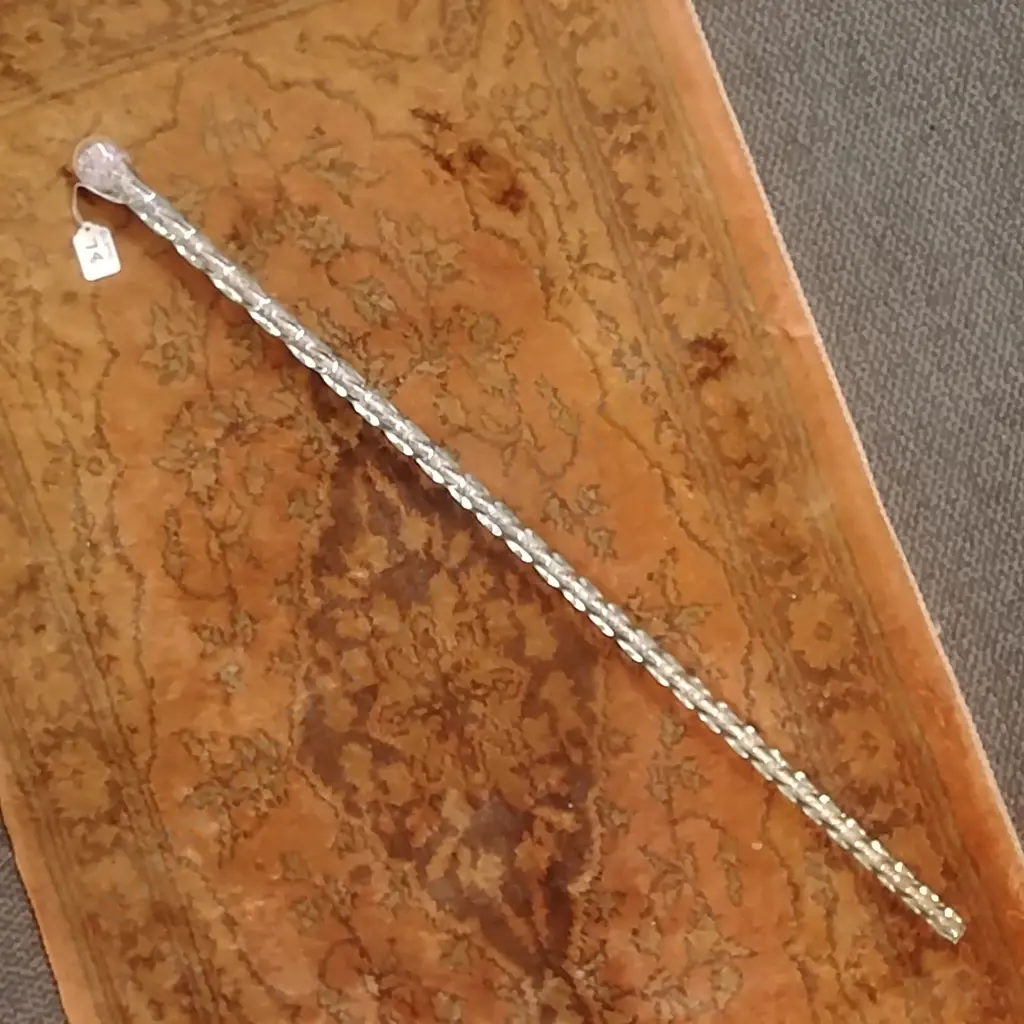 GLASS WALKINGSTICK AF Image 1++