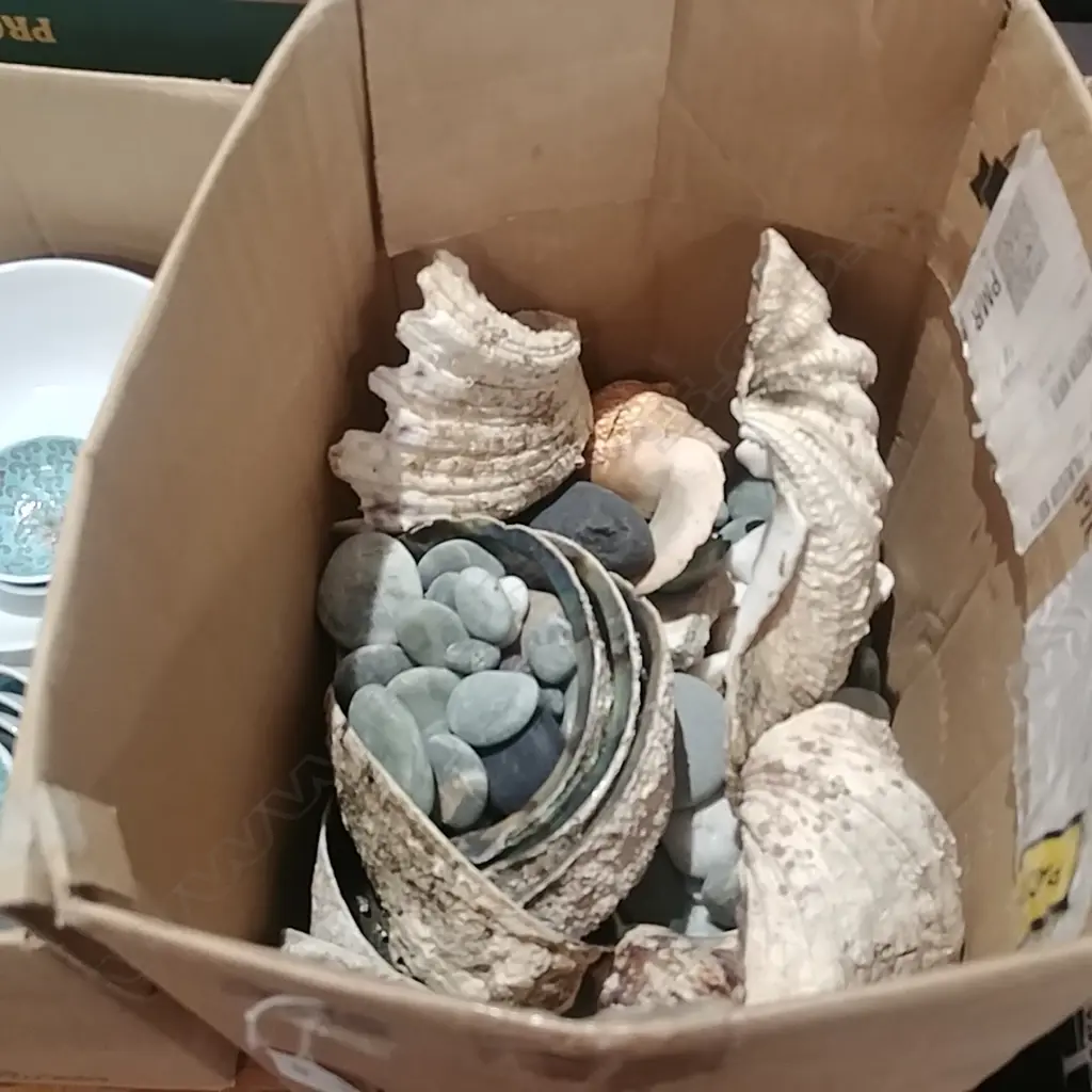 BOX OF SHELLS Image 1++