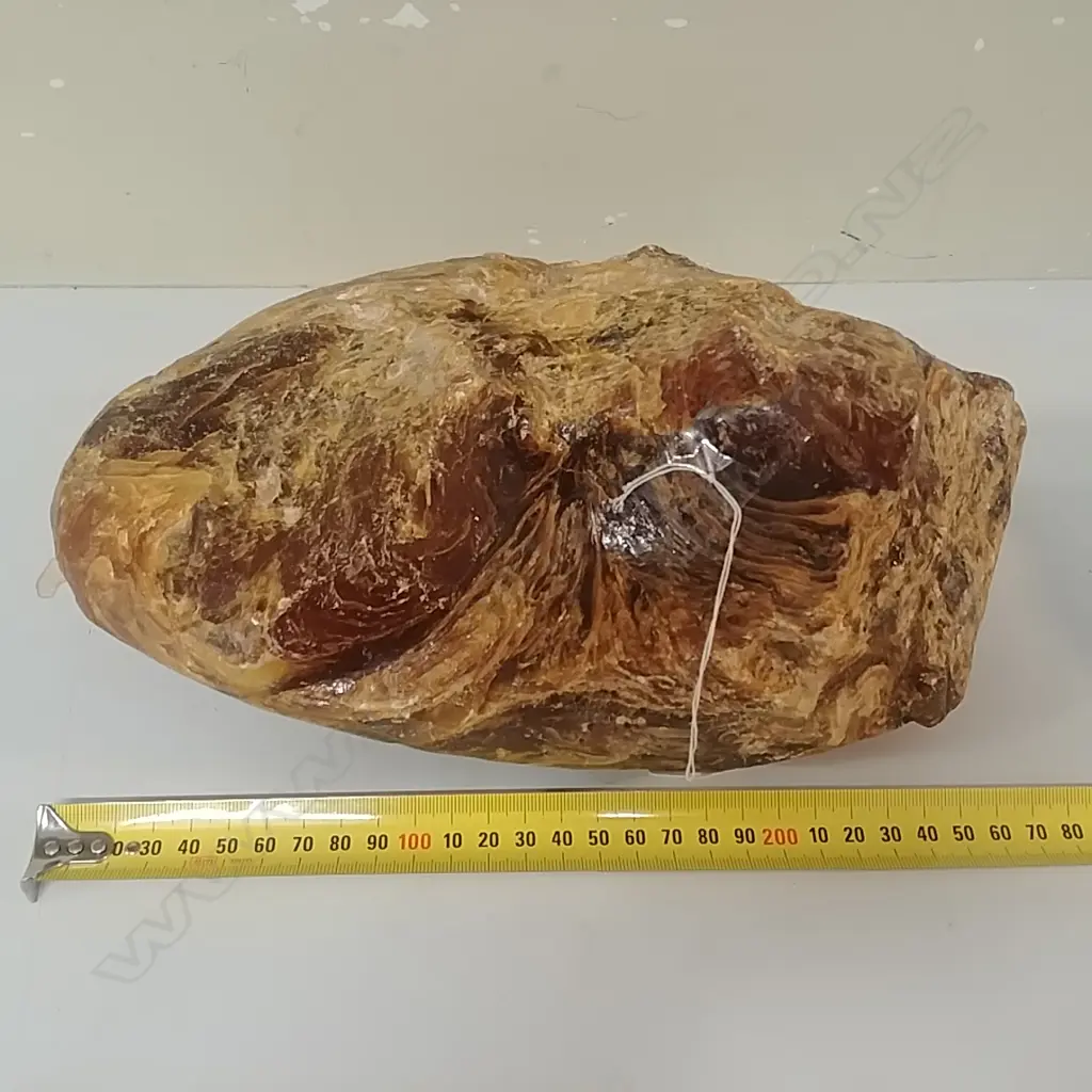 LARGE KAURI GUM NUGGET Image 1++