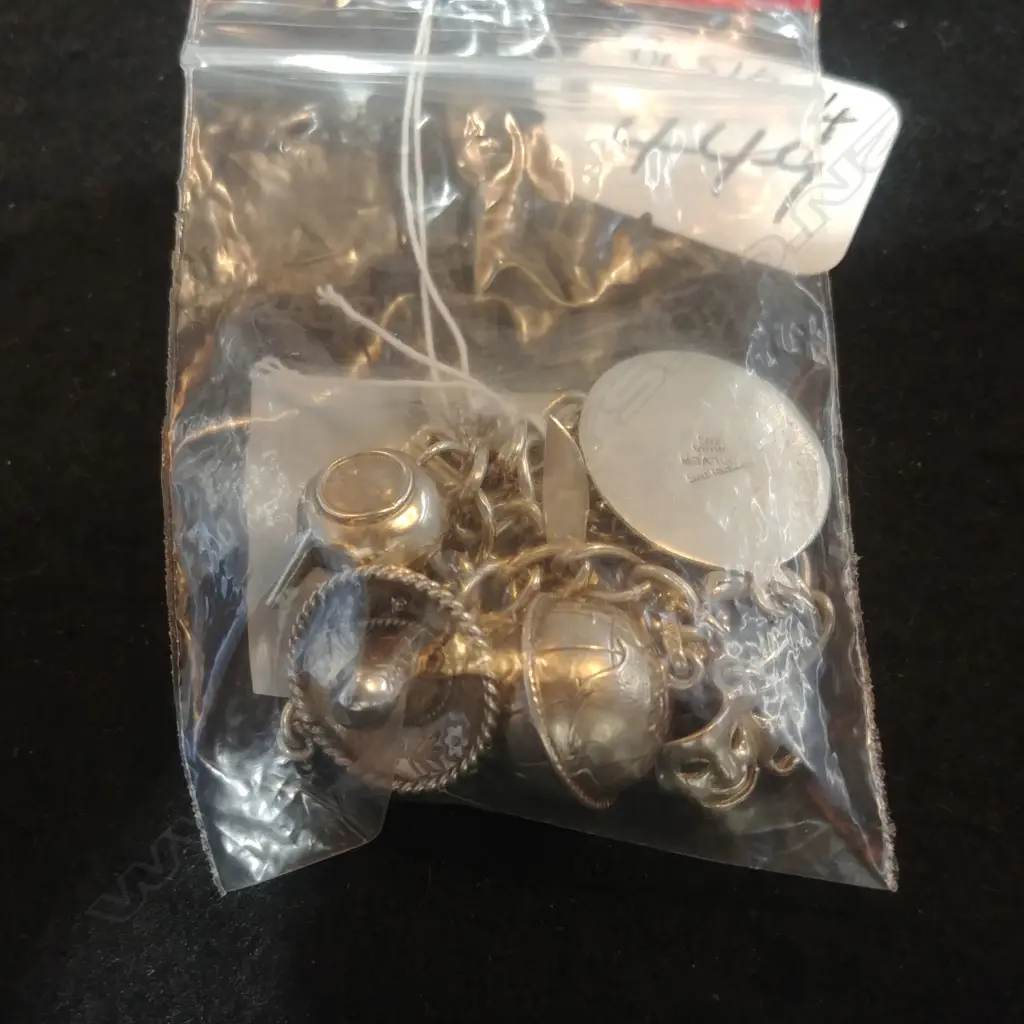 SILVER CHARM BRACELET Image 1++