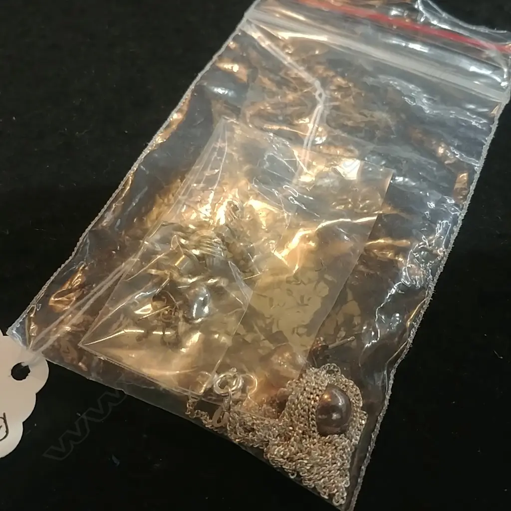 ASSTD SILVER EARRINGS AND CHAINS Image 1++