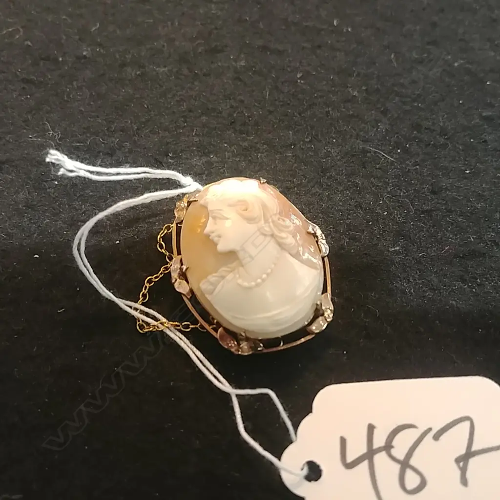 9CT GOLD PLATED CAMEO BROOCH Image 1++