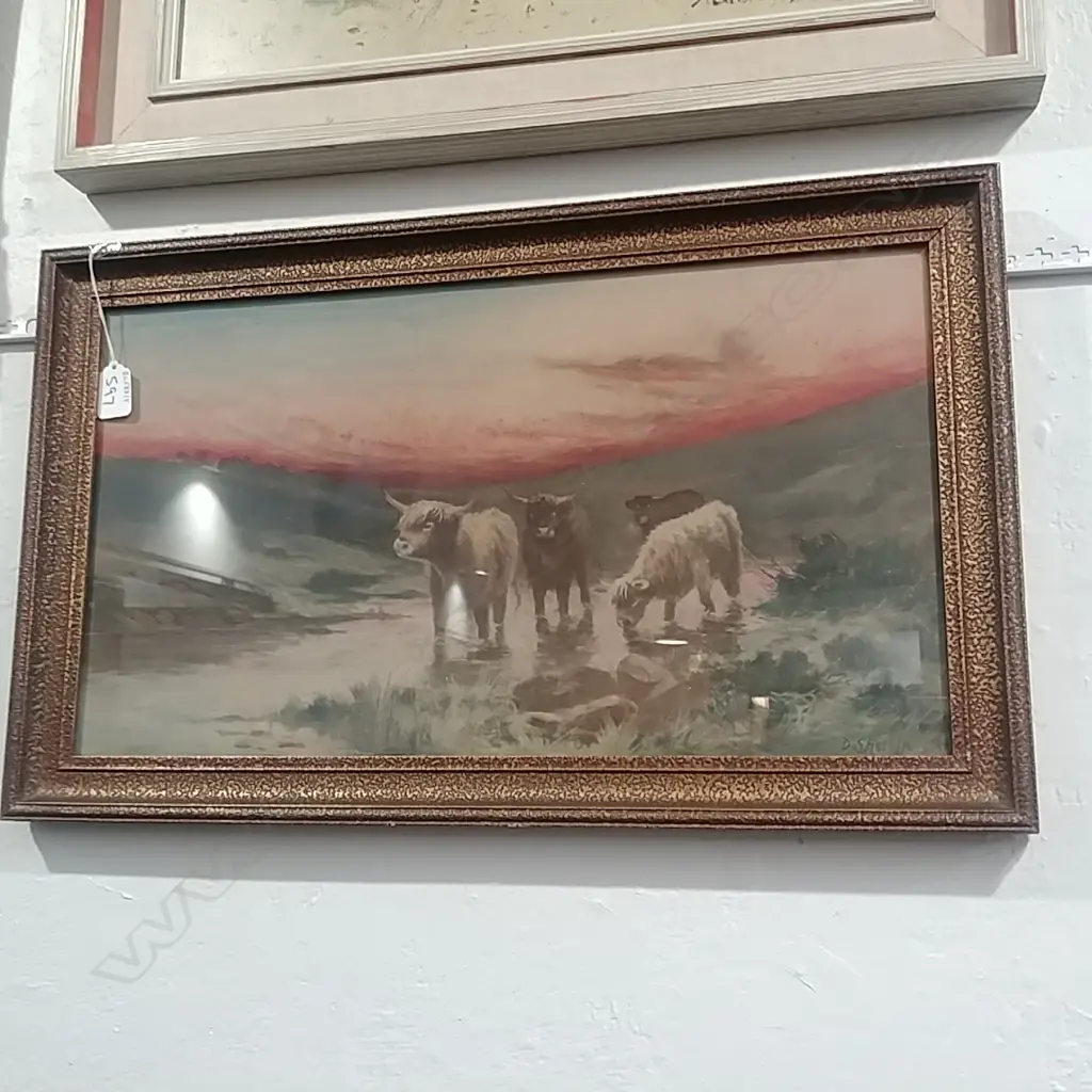 PICTURE D SHARRIN HIGHLAND CATTLE Image 1++