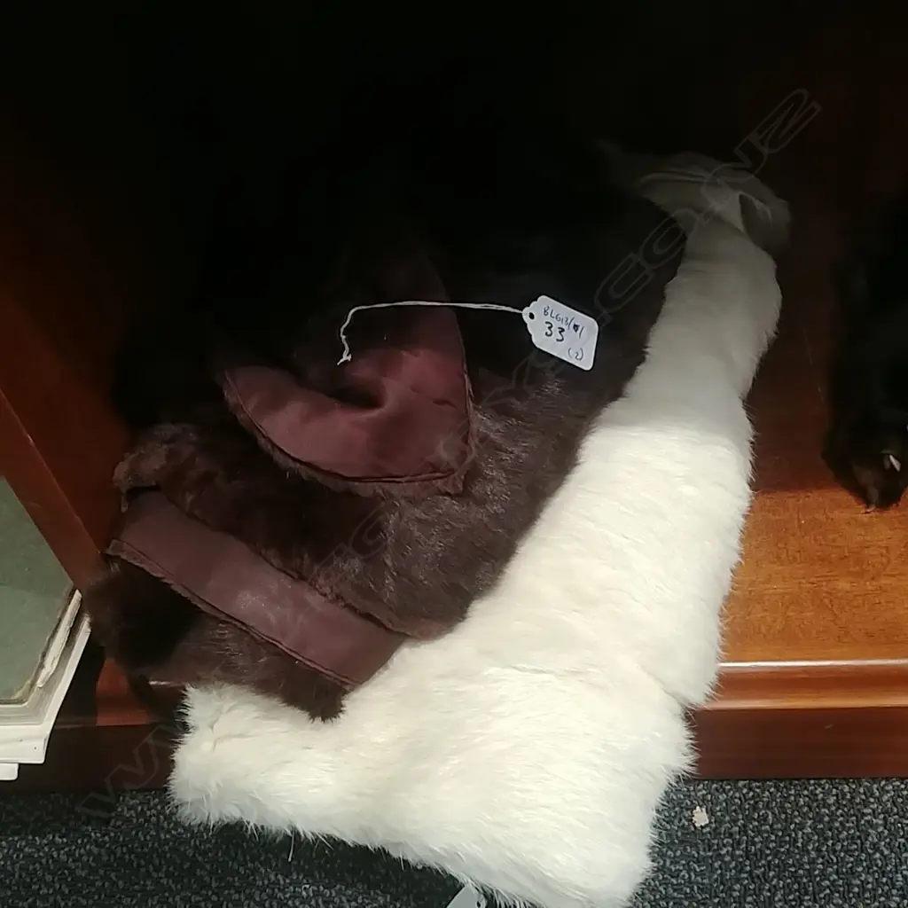 2 FUR STOLES FOX + MINK? Image 1++
