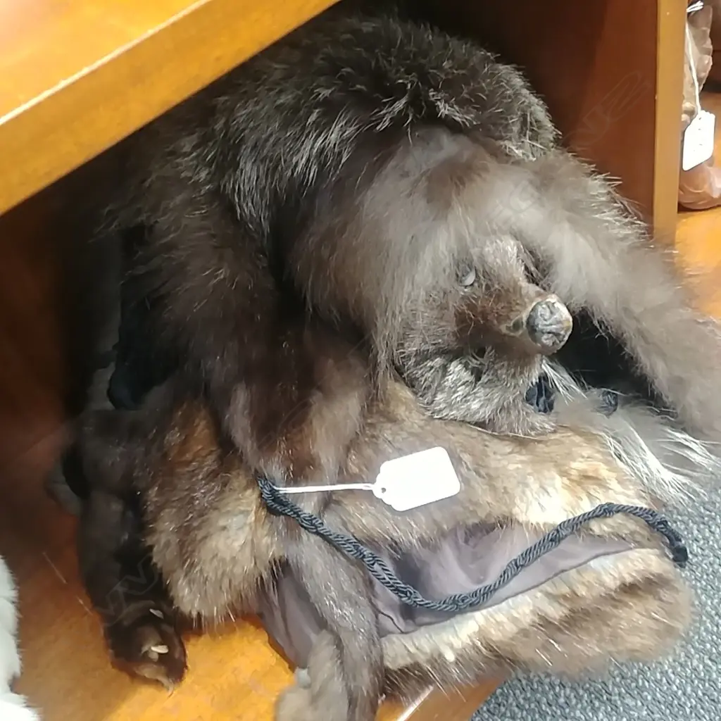 SILVER FOX STOLE AND ANOTHER FUR STOLE Image 1++