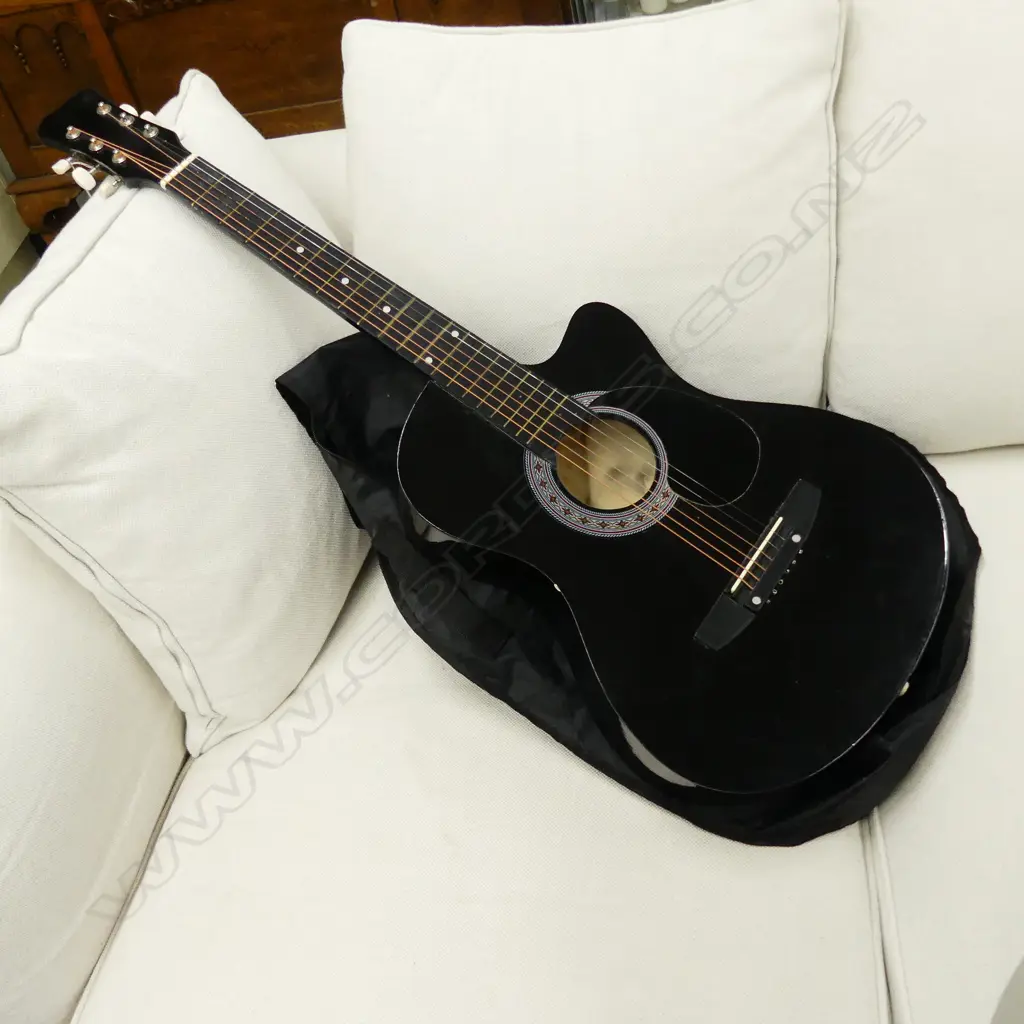 ACOUSTIC GUITAR IN SOFT CASE Image 1++