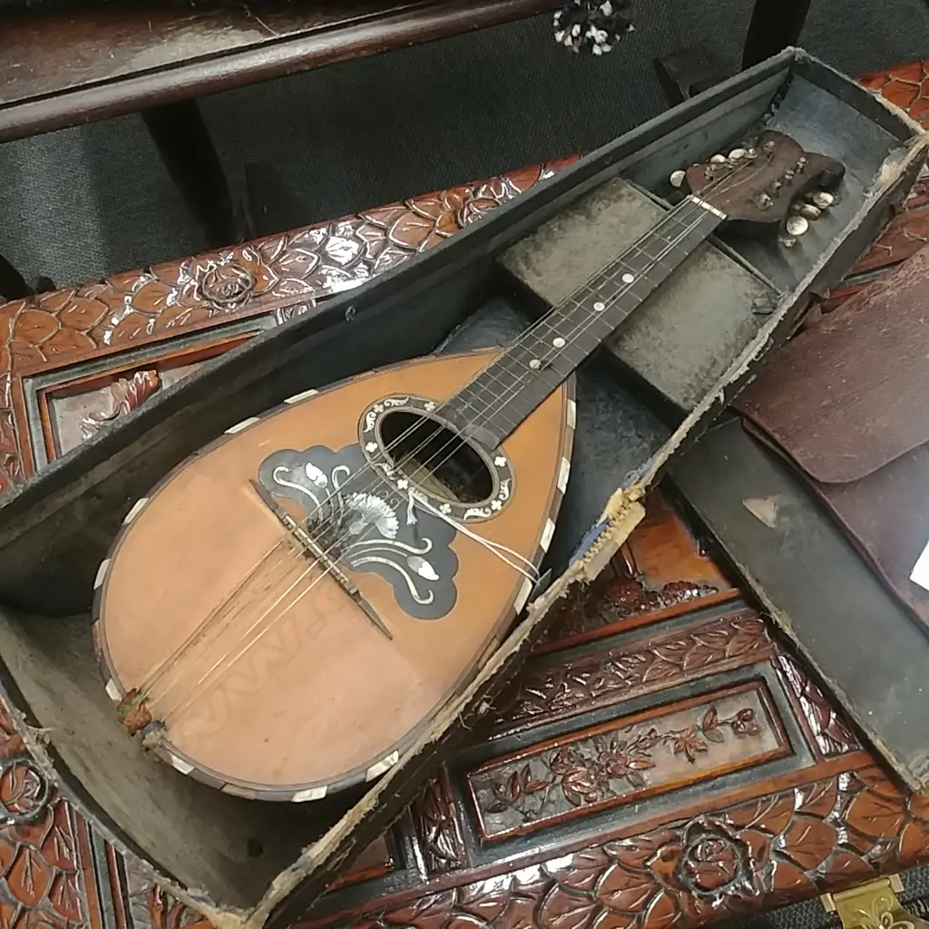 MANDOLIN Image 1++
