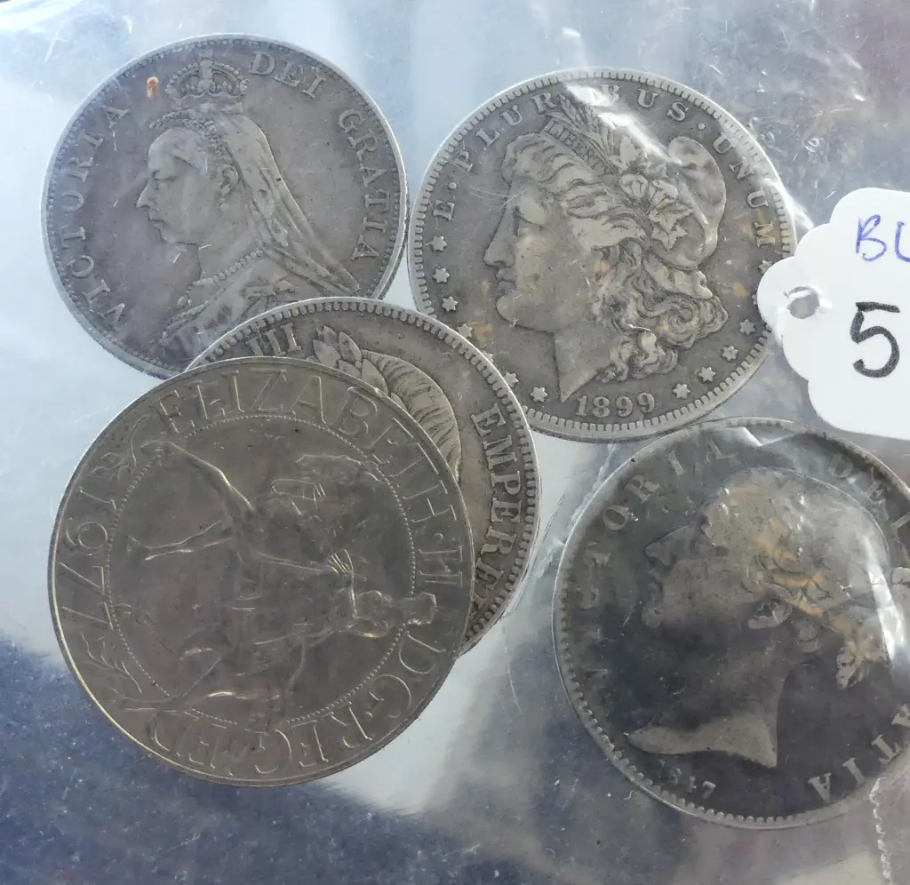 5 LARGE SILVER? COINS  Image 1++