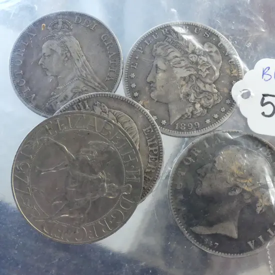 5 LARGE SILVER? COINS 