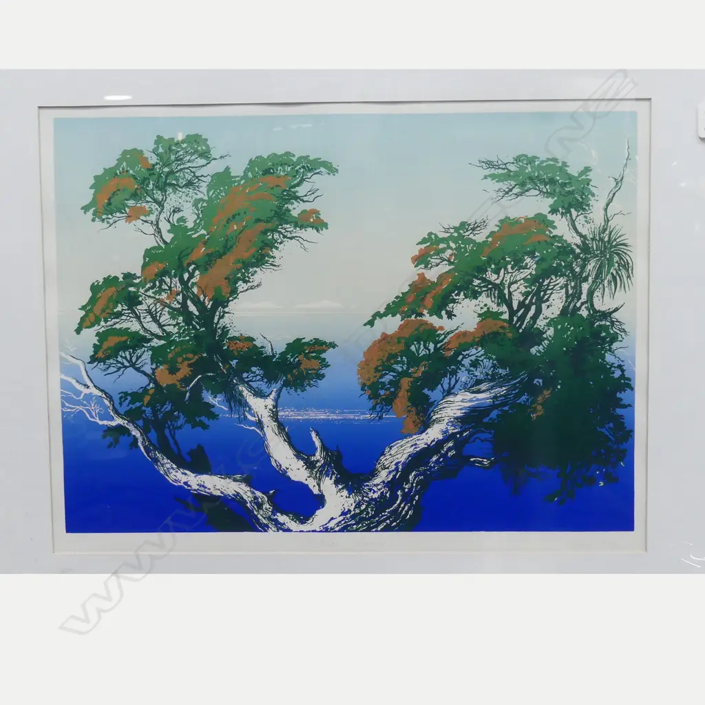 HAROLD COOP 'NORTHERN SUMMER' SCREENPRINT 120/180 Image 1++