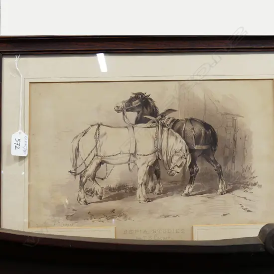 HORSE STUDY PAINTING - T.S.COOPER