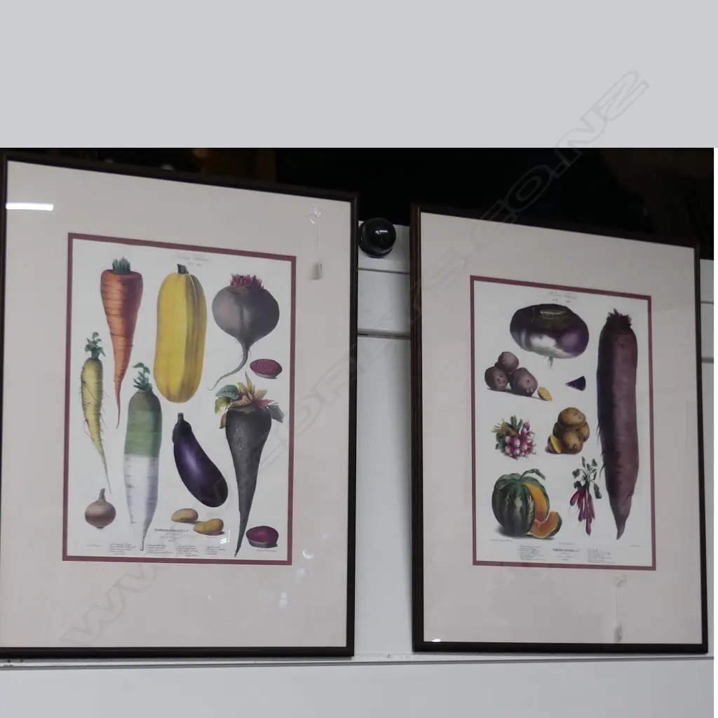 2 FRAMED PRINTS OF VEGETABLES Image 1++