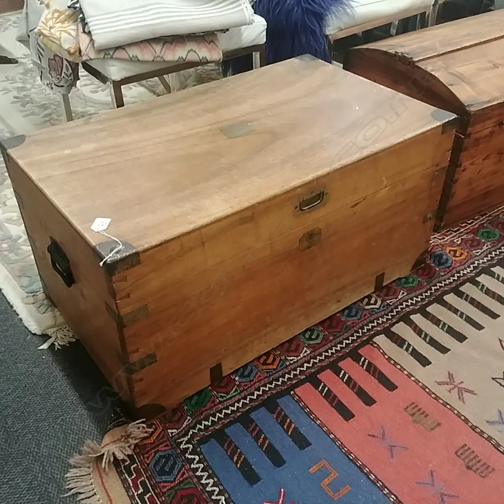 CAMPHORWOOD TRUNK Image 1++