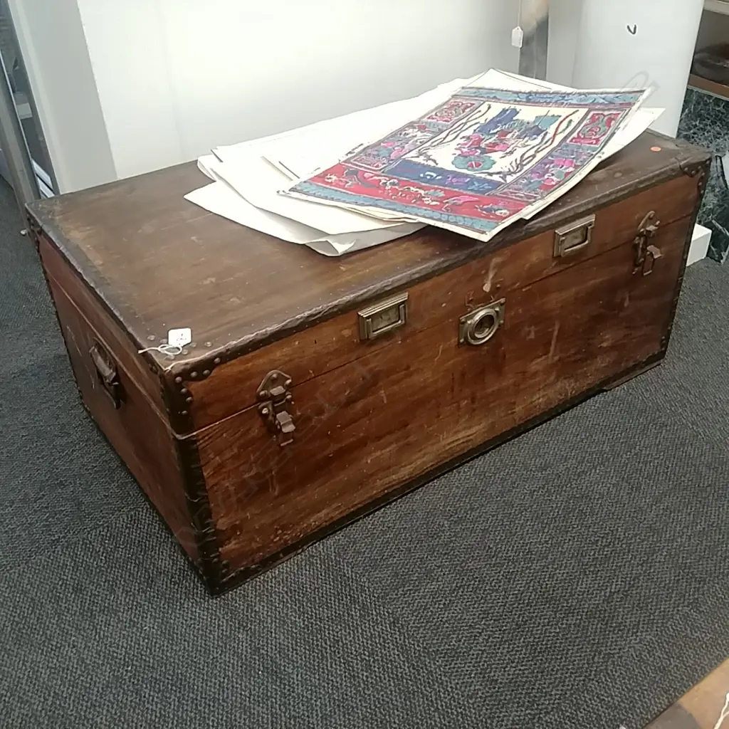 CAMPHORWOOD TRUNK Image 1++