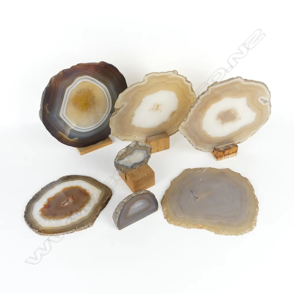 SIX SLICED ROCK SPECIMENS Image 1++