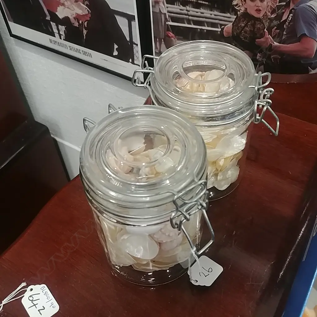 2 GLASS JARS OF SHELLS  Image 1++