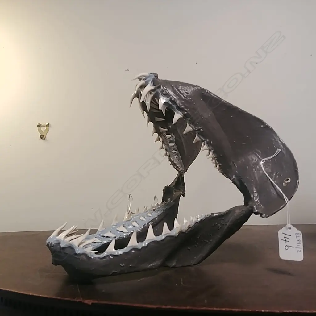 SHARK JAWS Image 1++