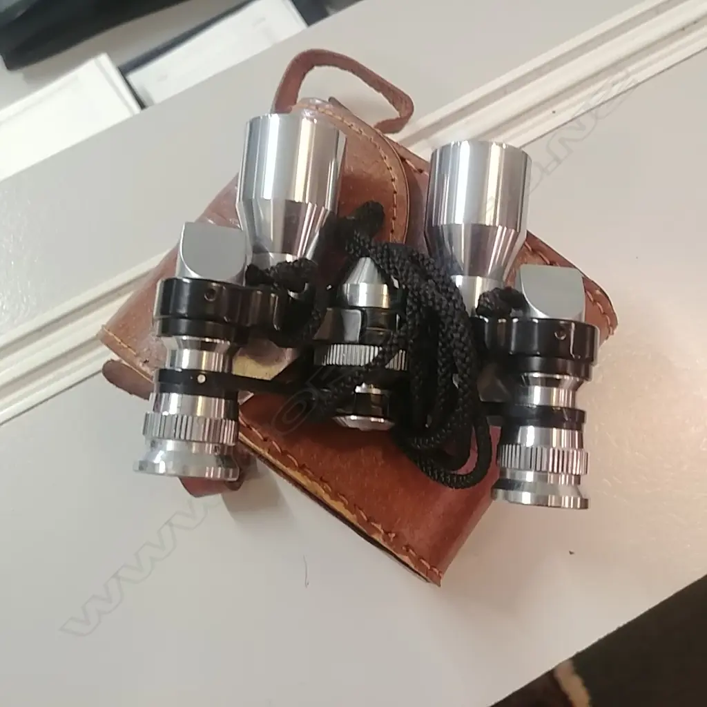 CASED OPERA GLASSES Image 1++