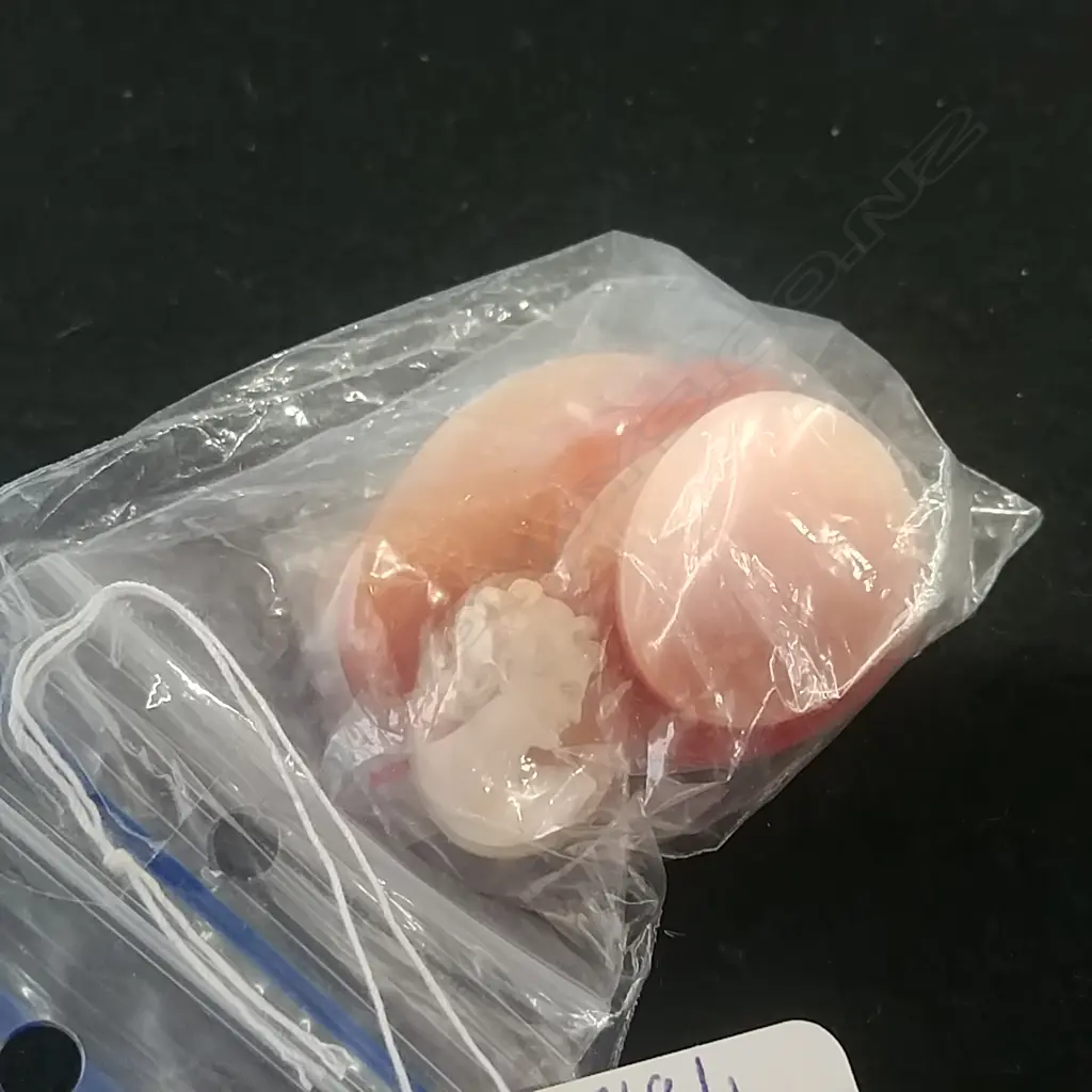 SMALL BAG UNFRAMED CAMEOS Image 1++