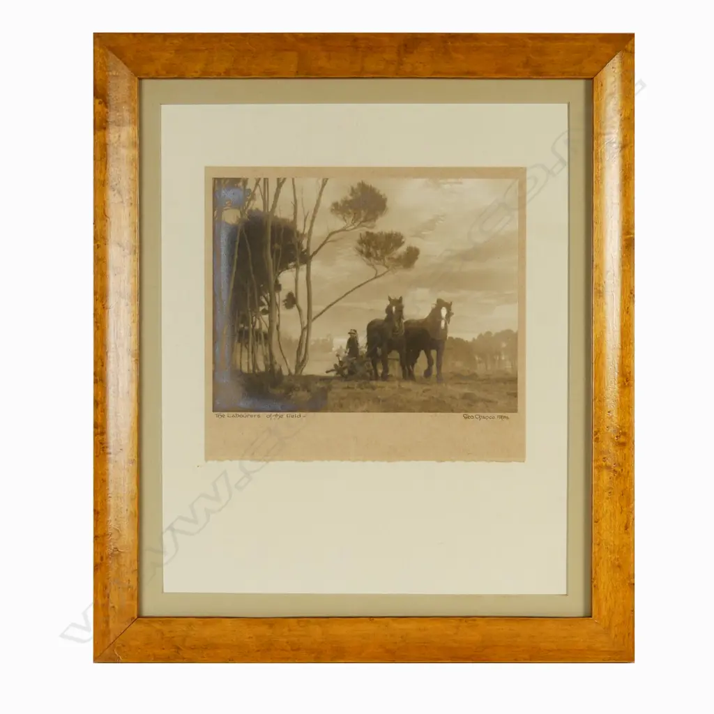 George Chance Image 1++