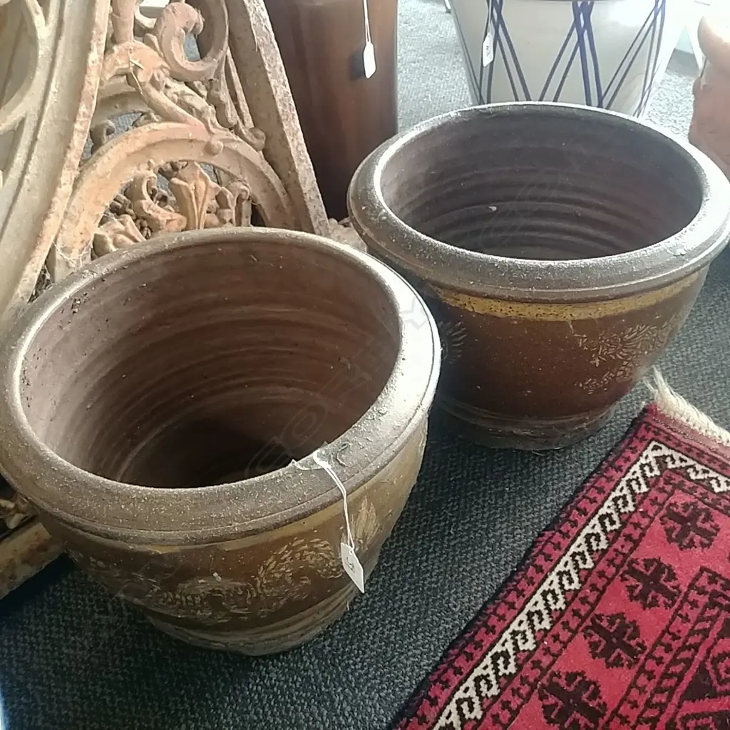 2 DRAGON GARDEN POTS Image 1++