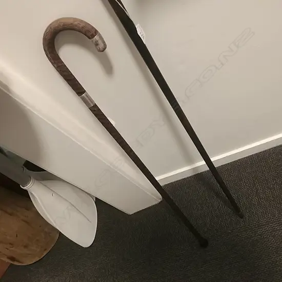 WALKING STICK  S/S NECK