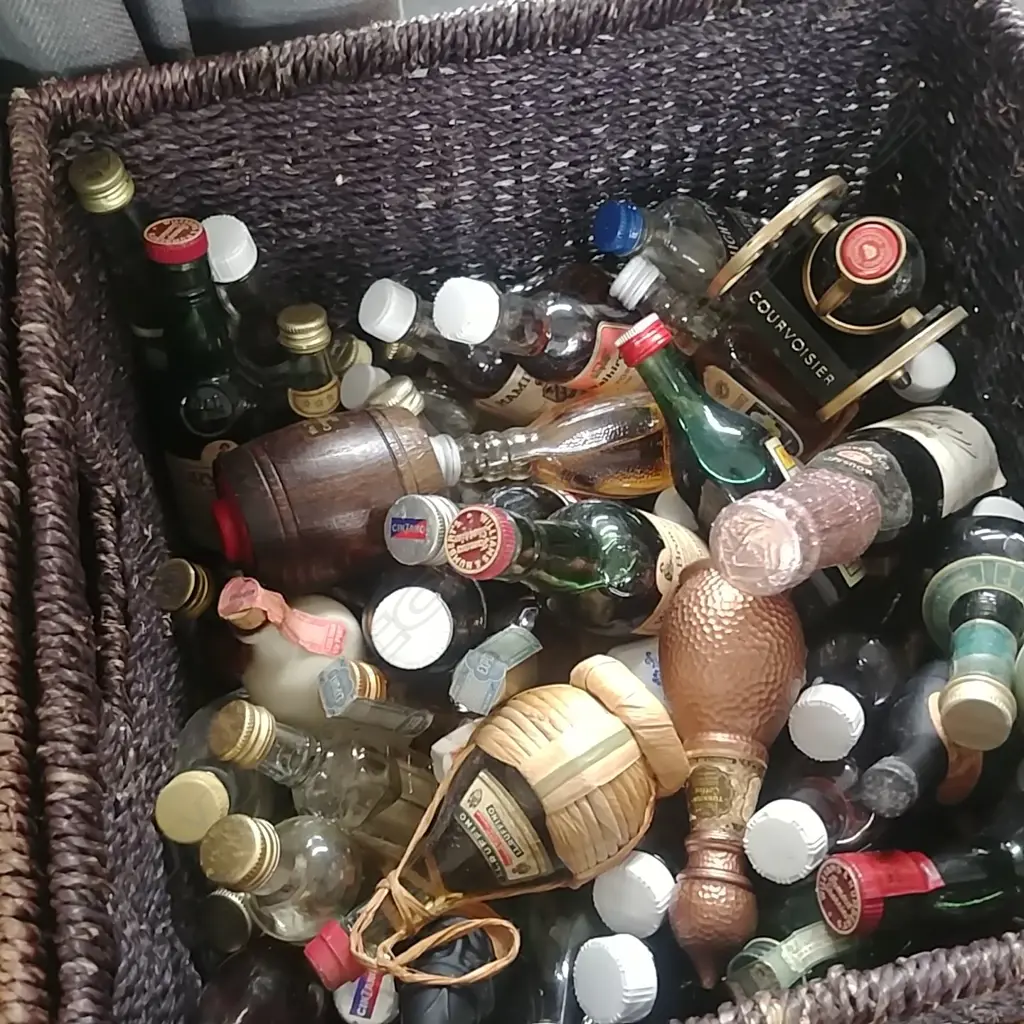 LOT ASST MINIATURE BOTTLES Image 1++