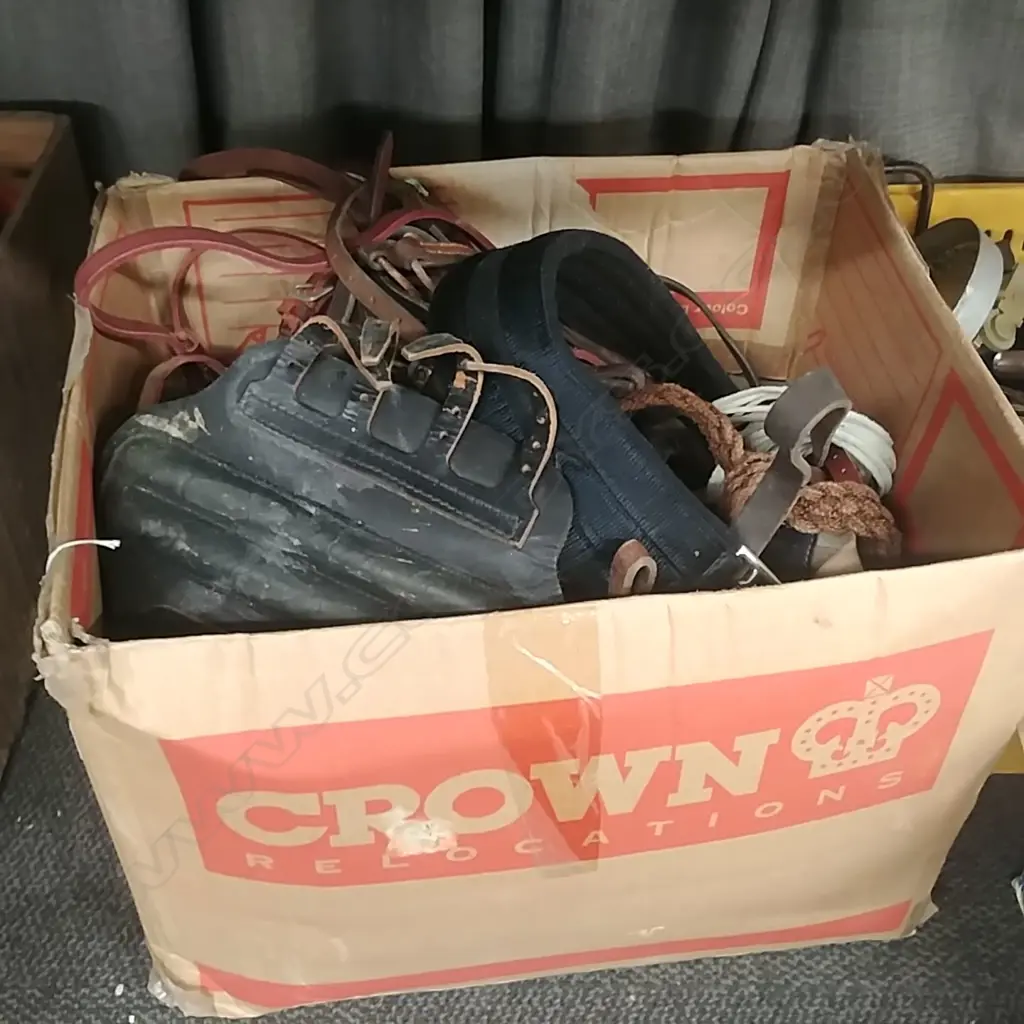 BOX LOT BRIDLES & HORSE GEAR Image 1++