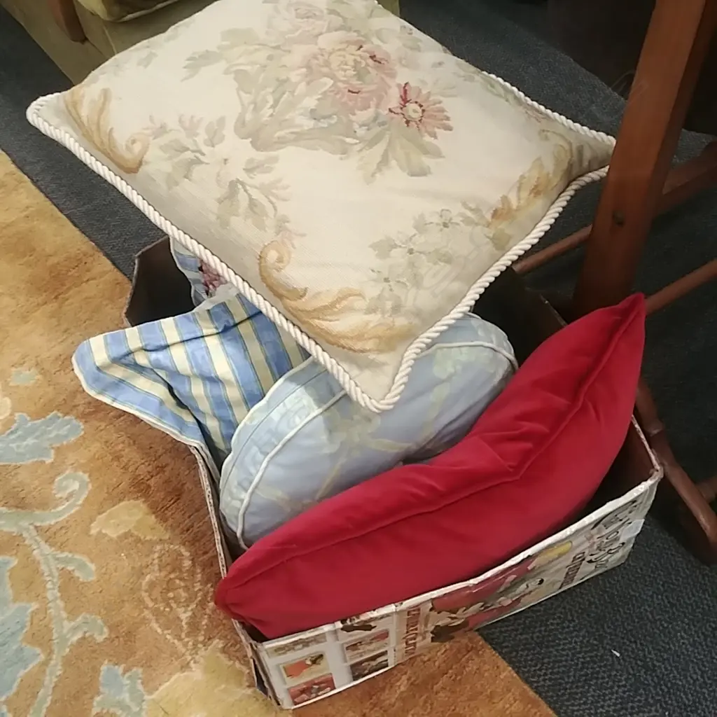 LOT ASST CUSHIONS Image 1++