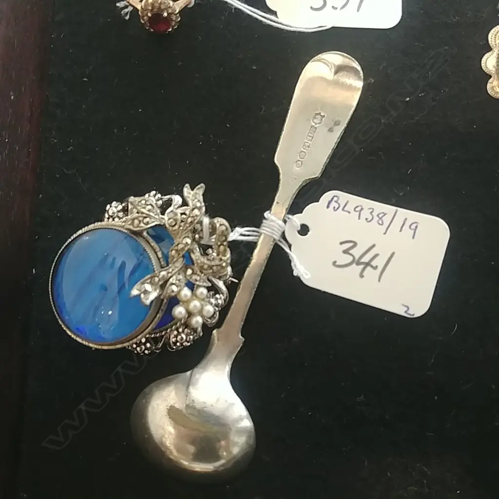 2 COSTUME BUTTERFLY WING BROOCHES ETC. Image 1++