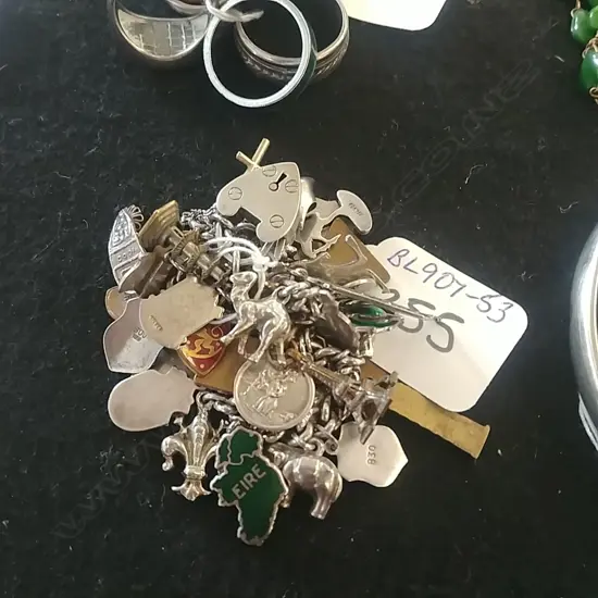 SILVER CHARM BRACELET (DB)