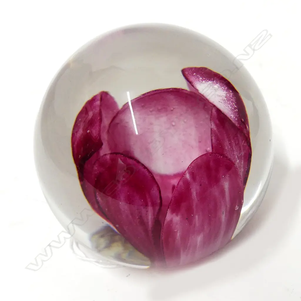 ROYAL CREST 'TULIP' P/WEIGHT, BOXED Image 1++