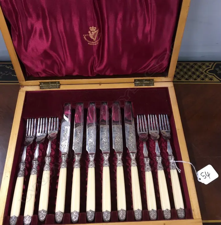 CASED EP ENGRAVED KNIVES & FORKS, IVORINE Image 1++