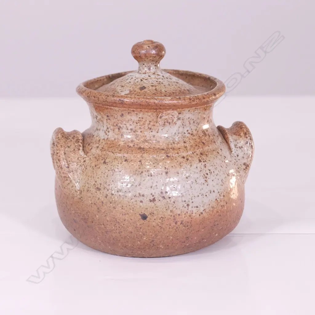 ANDREW VAN DER PUTEN LIDDED CROCK Image 1++